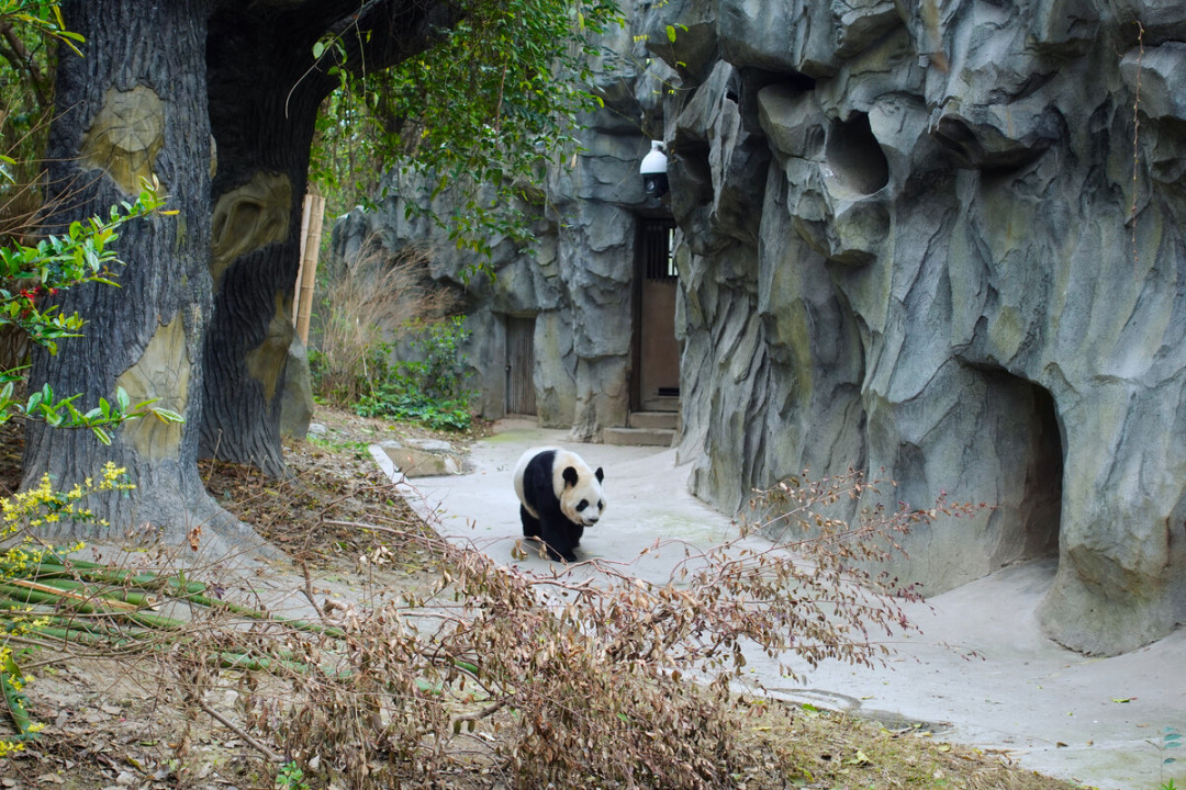 适合10月中下旬带孩子旅游的地方,11月份带3岁孩子适合去哪旅游