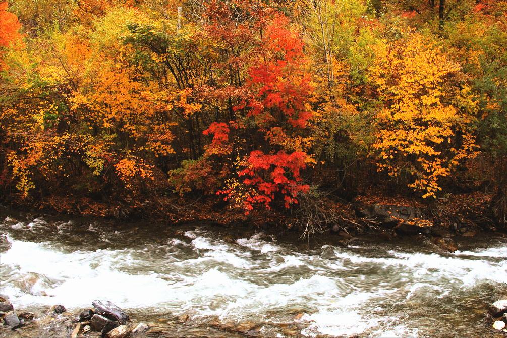 卡龙沟景区有什么好玩的,卡龙沟穿越松潘