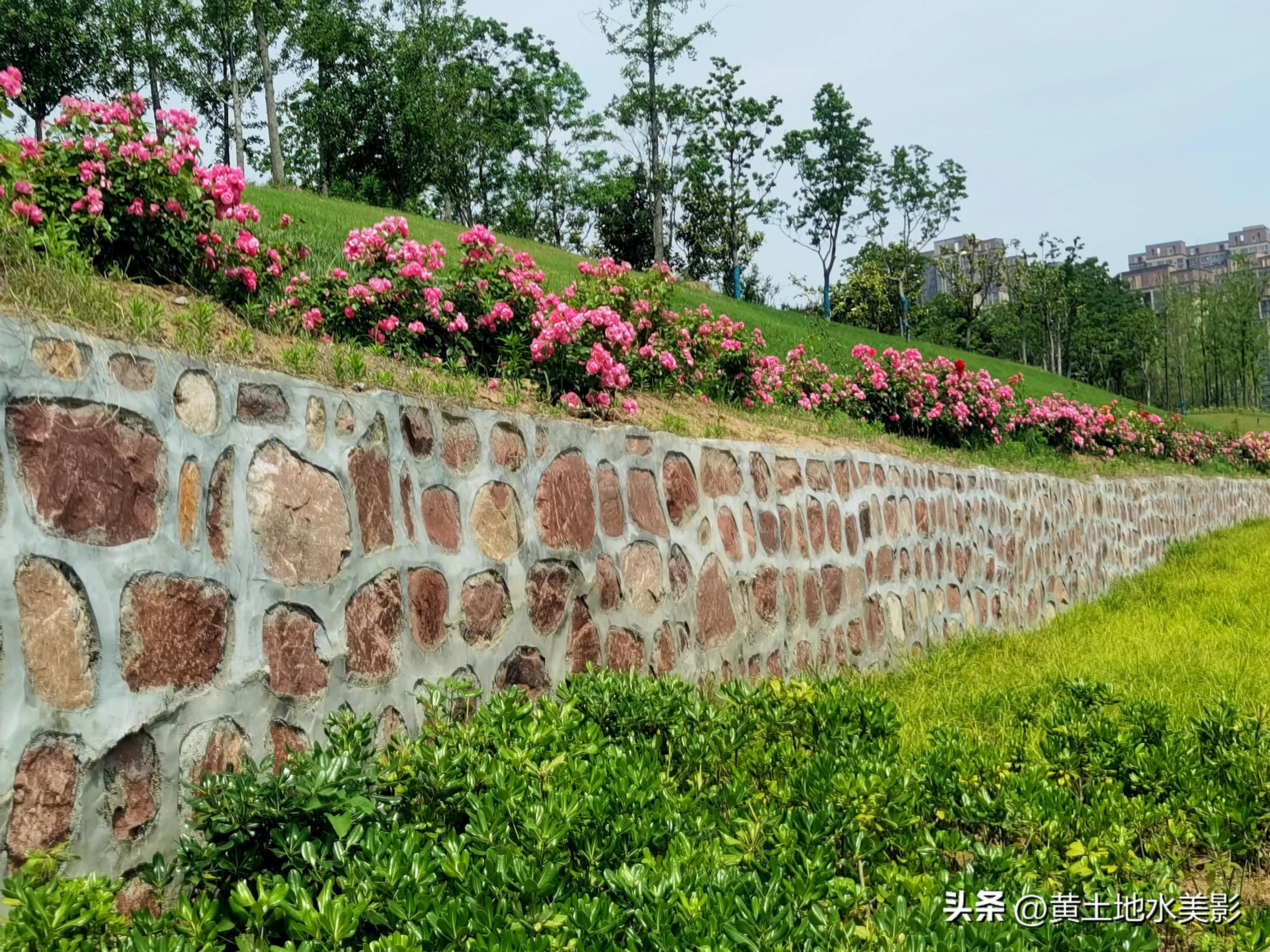 郑州象湖生态公园免费景点推荐,绿湖湿地公园河南