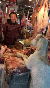 神回复有深度的话,神回复的意思