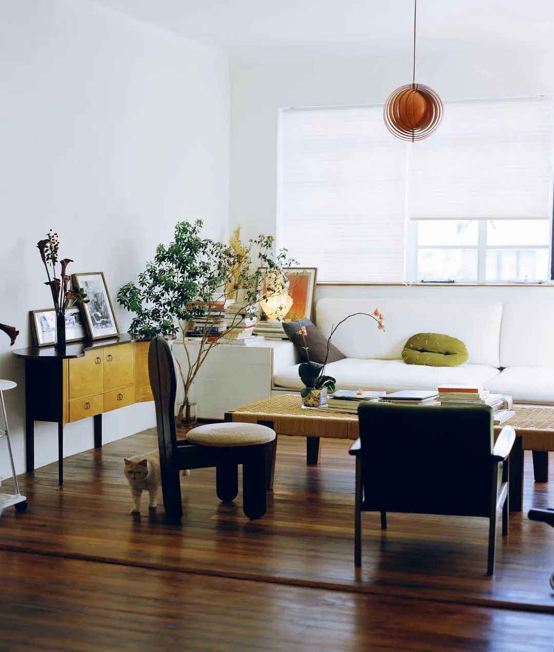 独居上瘾,独居真的很上瘾