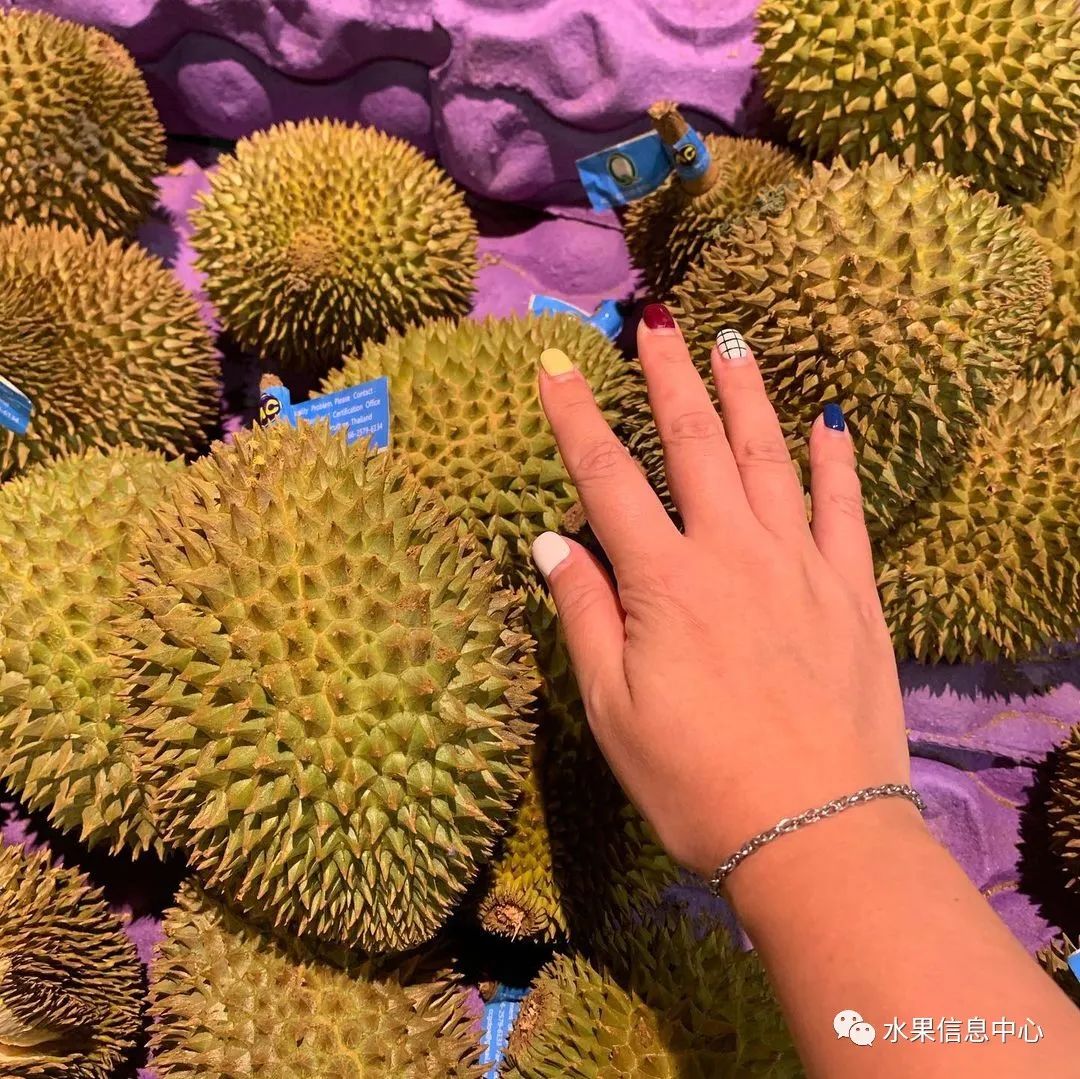 盘点那些迷你的东西,盘点不同样子的水果