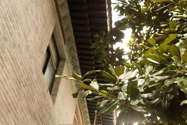 南京军区军人俱乐部,南京17年的军人俱乐部