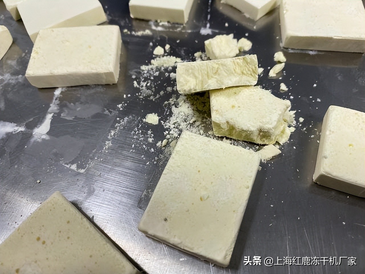食品冷冻干燥机参数,福建冻干机真空冷冻干燥机