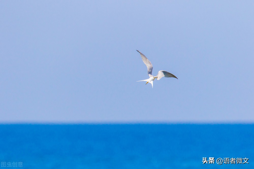 九年级下册语文知识归纳,九年级下册语文必背古诗