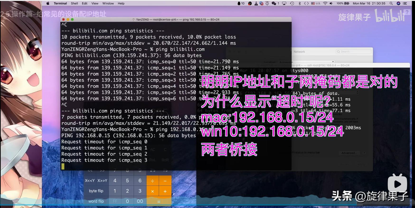 ip地址分配操作,mac地址绑定解决ip冲突