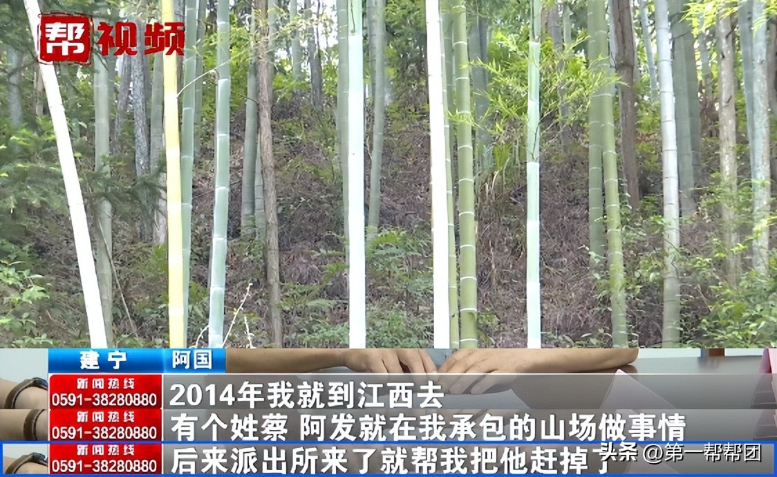 承包的山林被征用赔偿归谁,承包的山林被别人侵占找谁处理