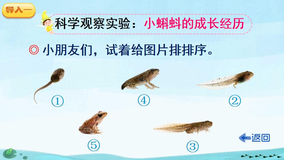小蝌蚪找妈妈绘本ppt制作教程,二年级课文小蝌蚪找妈妈ppt背景