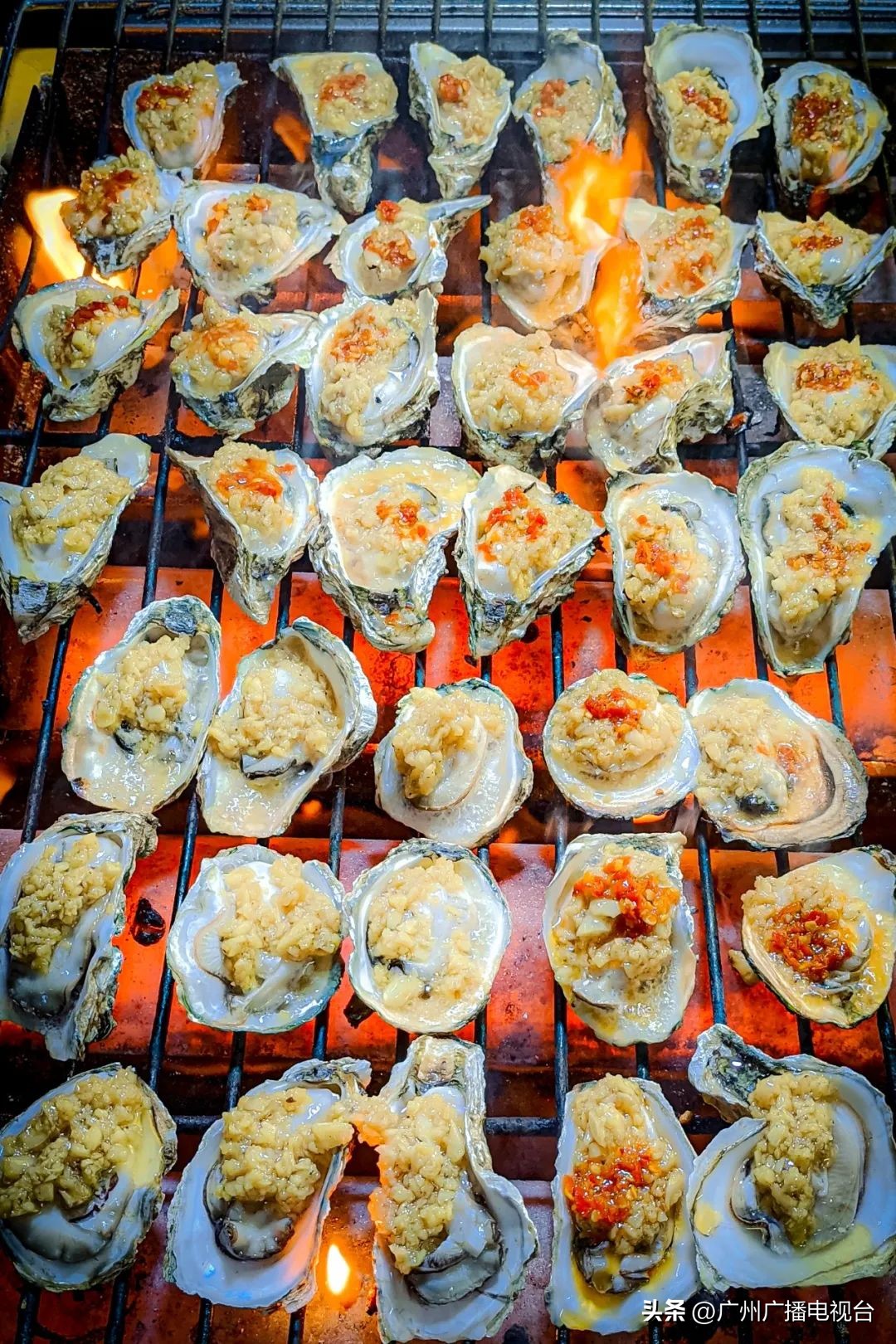 湛江到广州时速350公里高铁进度,广州湛江高铁开通时间