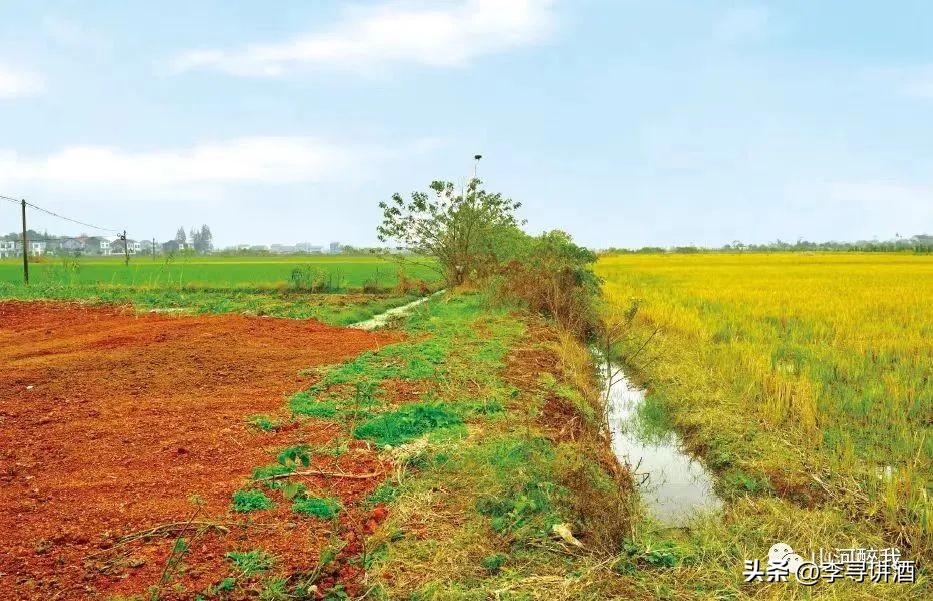 山河醉我||12个必须打卡的白酒胜地