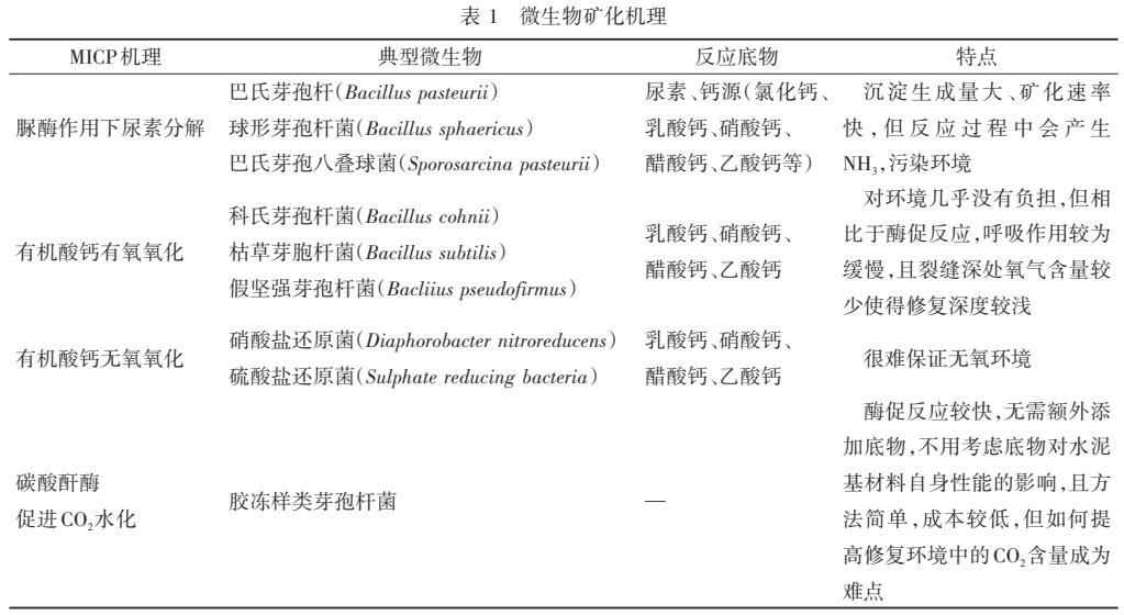 水泥自修复技术,微生物自修复水泥