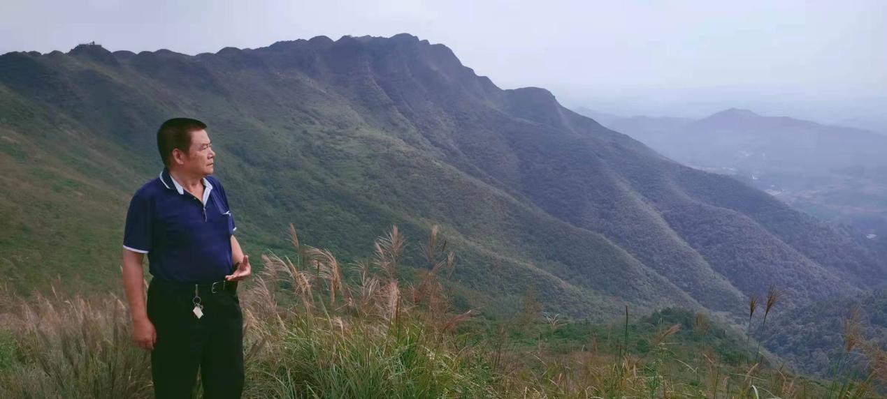 【绿野诗棚有声诗评】《“诗苑梦呓”集》（15）：十二笔画诗之最