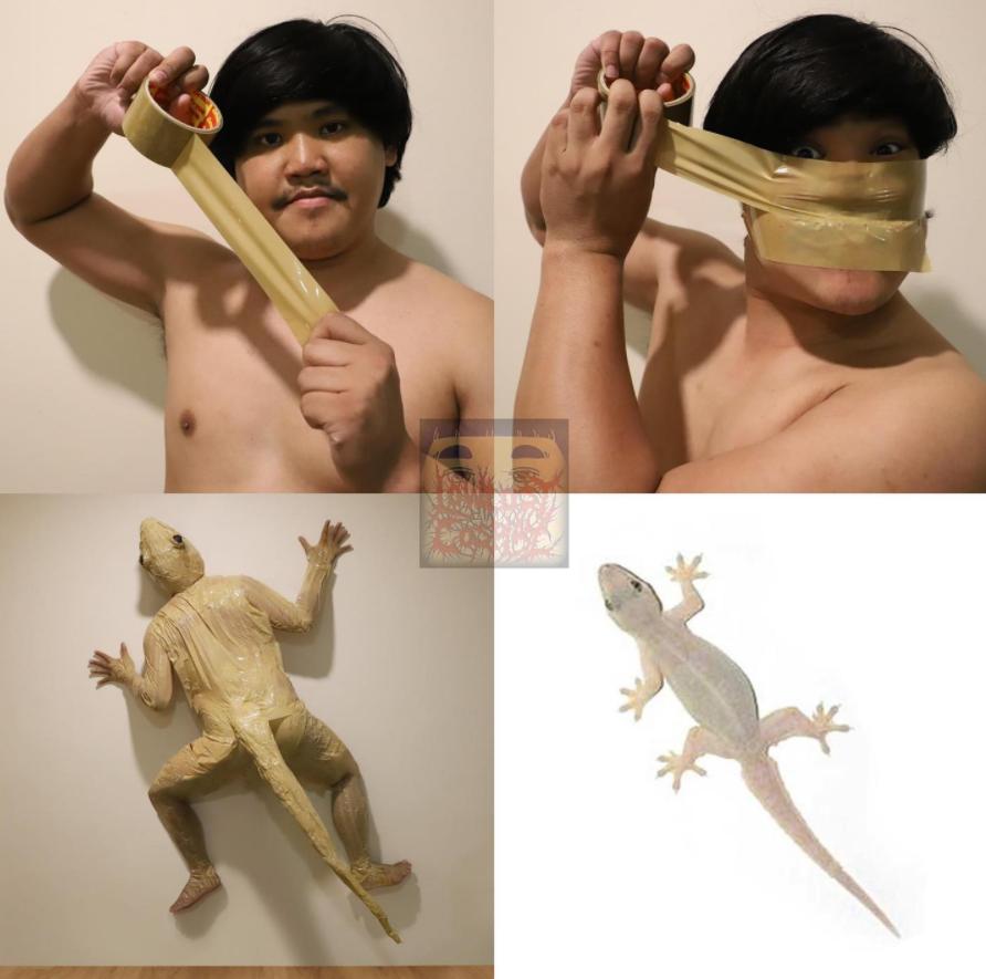 哈哈哈这些猫咪cospaly好怪，再看一眼，还是好怪