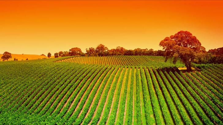 什么星座脾气大,本事小脾气大的星座男