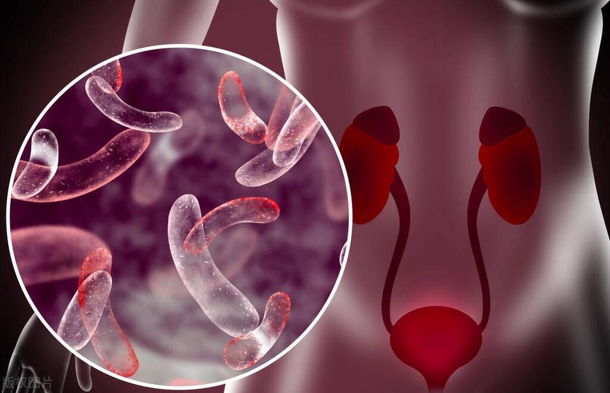 我偷看小电影，被母亲无意发现我双腿不自觉加紧，怀疑我被欺负了