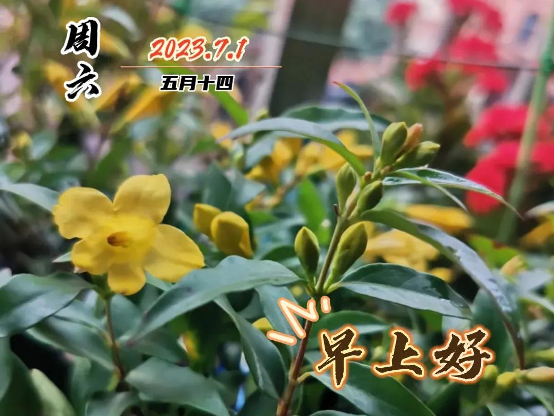 早安图片早上好问候祝福语,早上好图片带字早安问候语大全