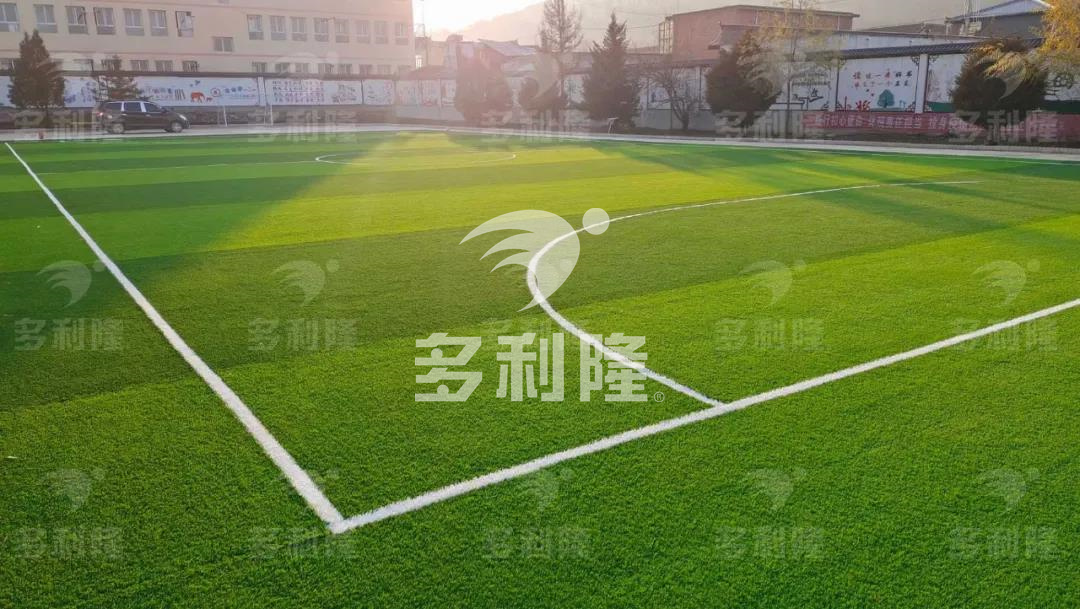 不同草坪,不同草坪取名大全