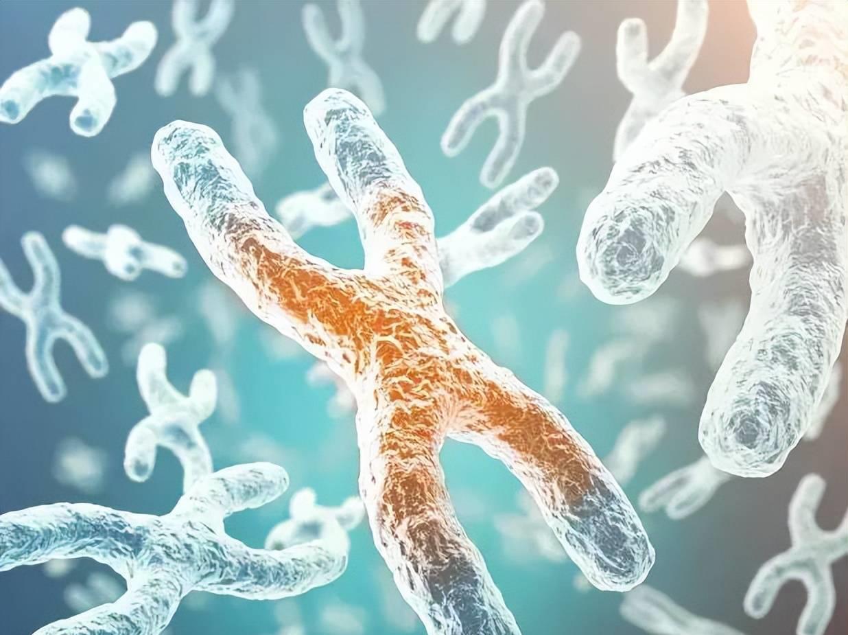 男生假两性畸形可以选择女生吗,假两性畸形女孩能交男朋友吗