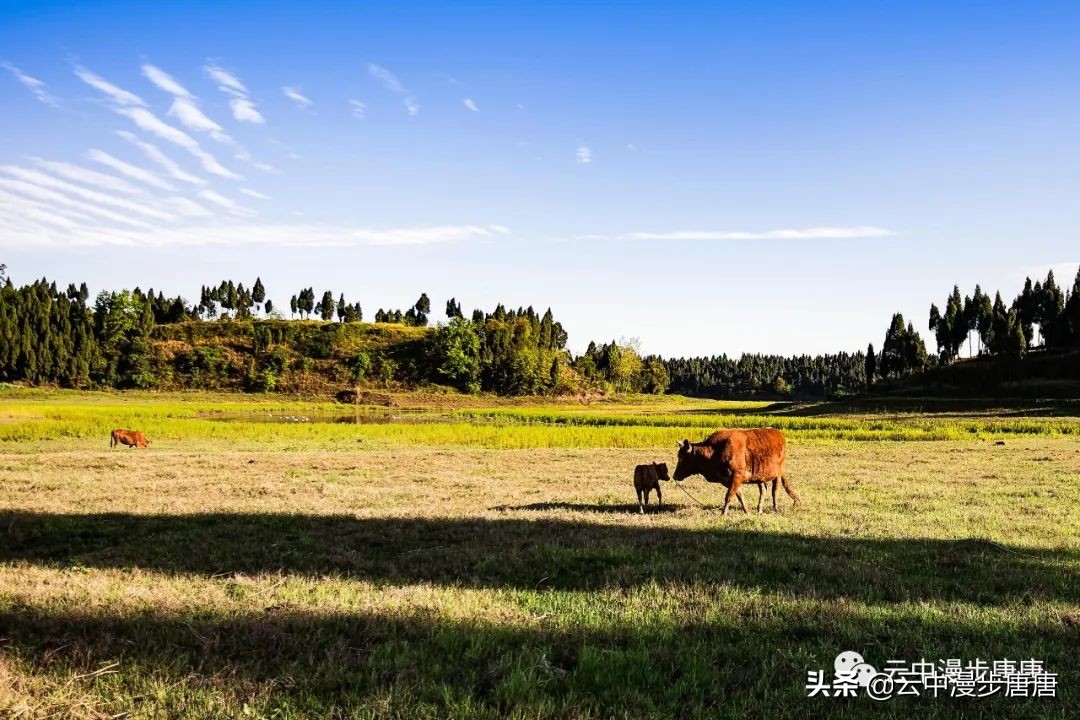 岳池旅游景点大全推荐,行走的美景