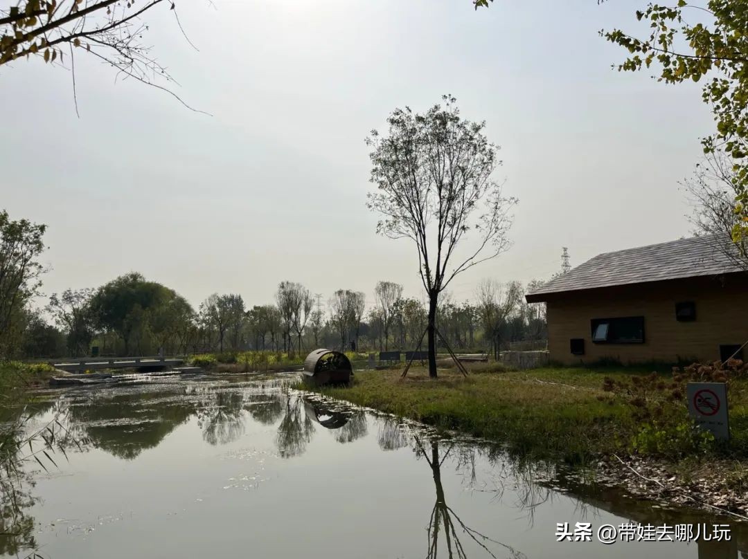 藏在二环的超小众免费公园,免费游玩的小公园