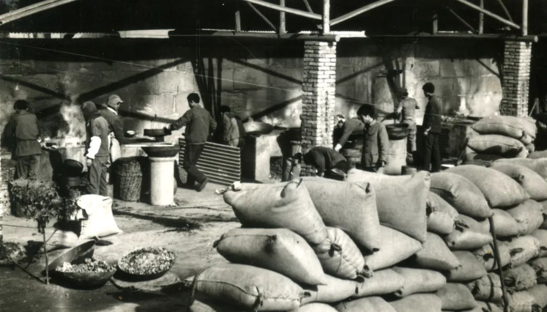 年广久触犯的罪名是什么,年广久欠银行多少钱被判刑