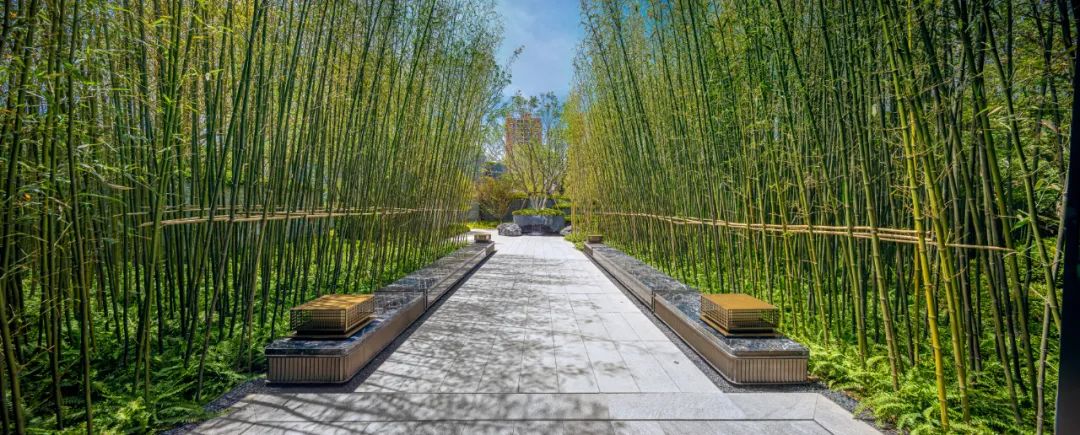 中建国贤府介绍,中建国贤府平面图