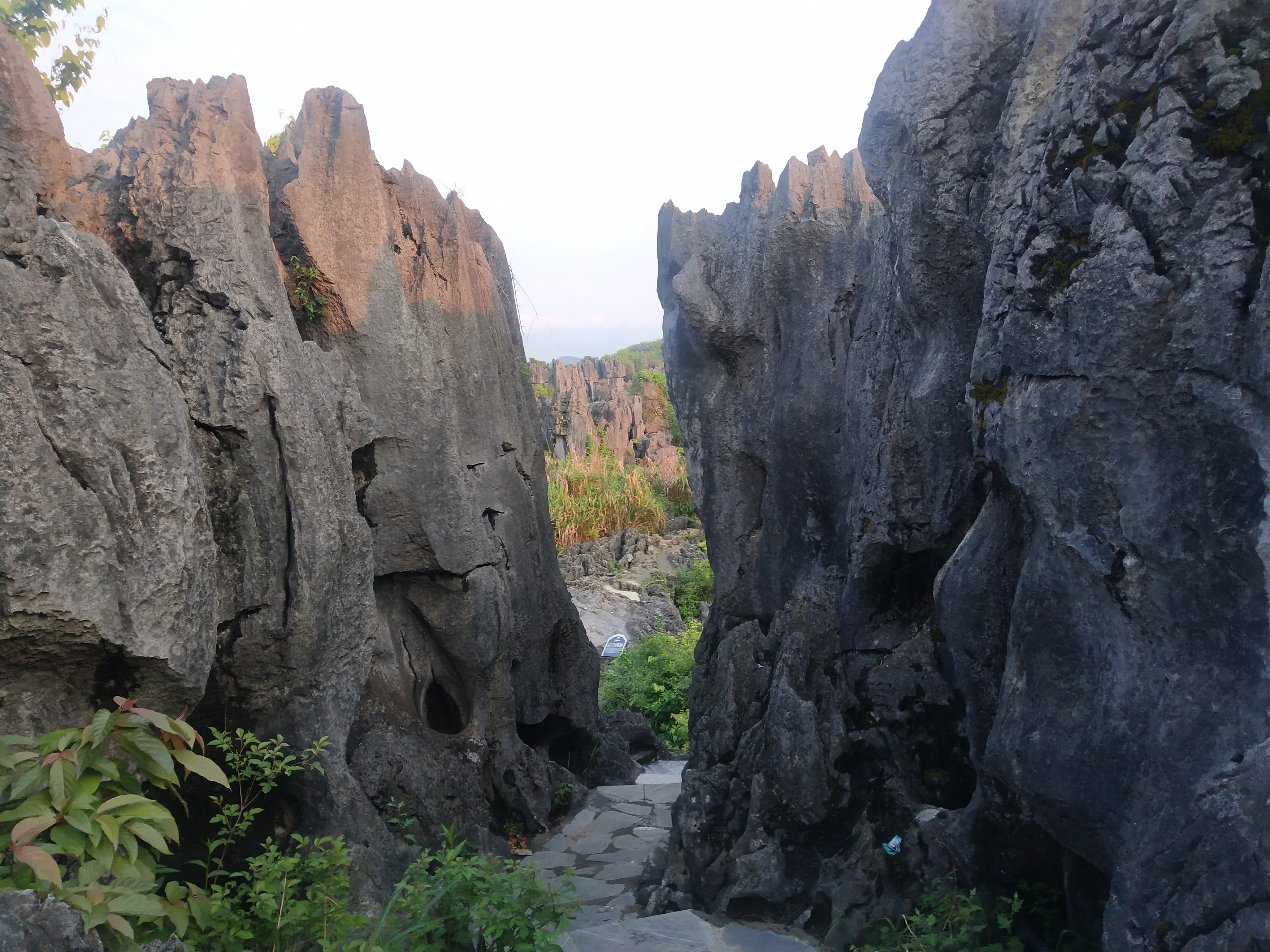 2020灌阳文市石林要门票吗,灌阳文市石林景区门票是多少
