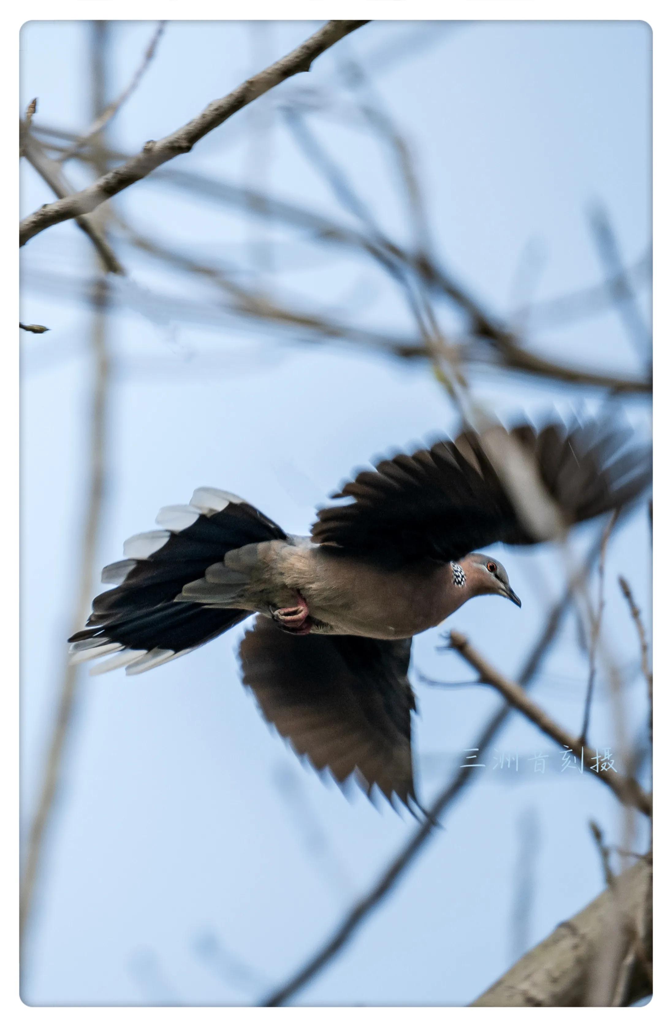上海国际汽车城安亭,上海安亭国际汽车城