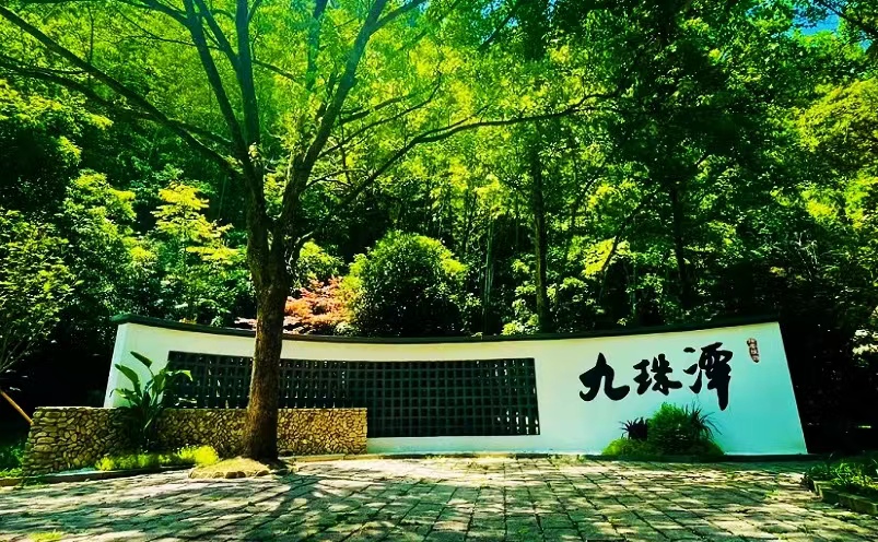 温州必去的十大景点,温州市旅游攻略必去十大景点