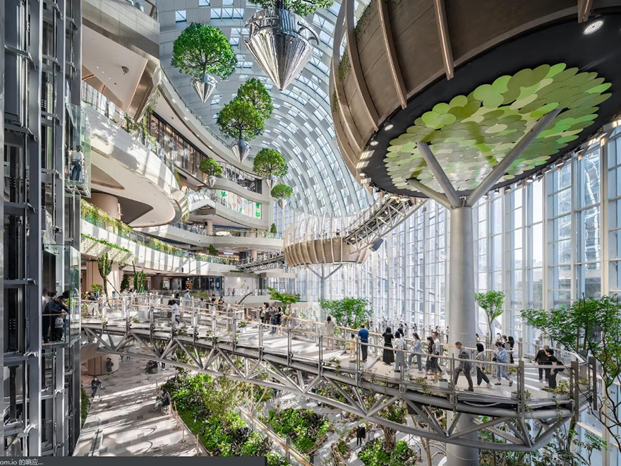 typology涓枃,typology