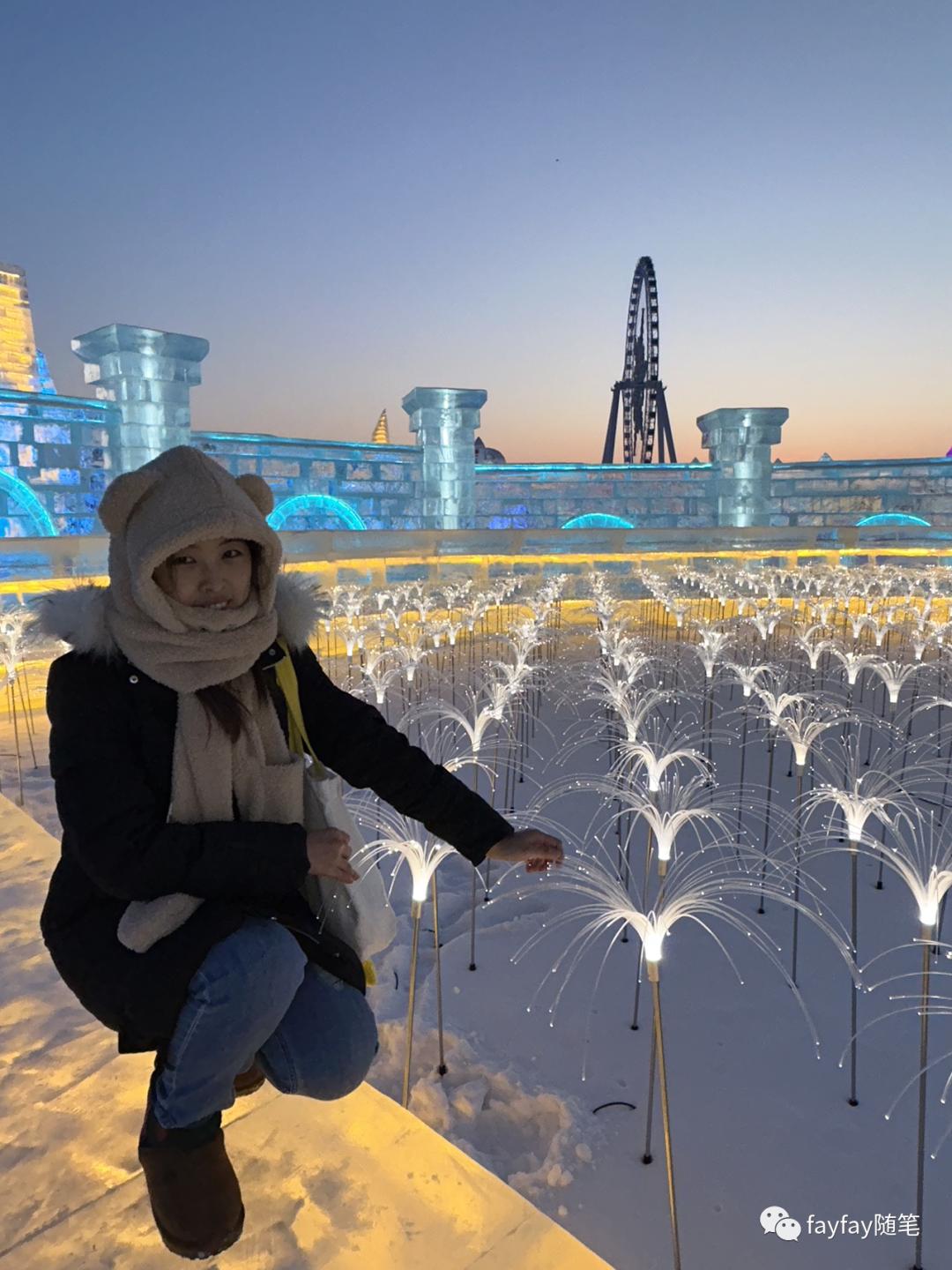 孤独的哈尔滨,哈尔滨三天两晚旅游攻略玩雪