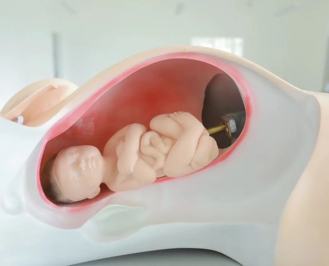 护理学院莆田学院,北华大学护理学院简介