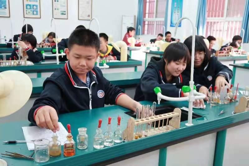 西安市第五十五中学升学率,西安市第五十五中学一本率