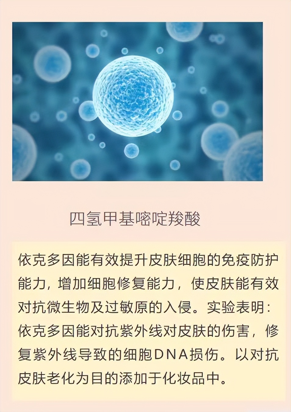 鎯熸効鏃跺厜娓╂煍浼翠綘,鎯熸効鏃跺厜娓╂煍浠ュ緟