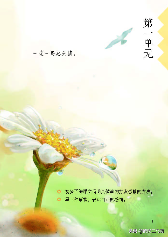 暑假预习语文用什么书,暑假预习的课文开学还要预习吗