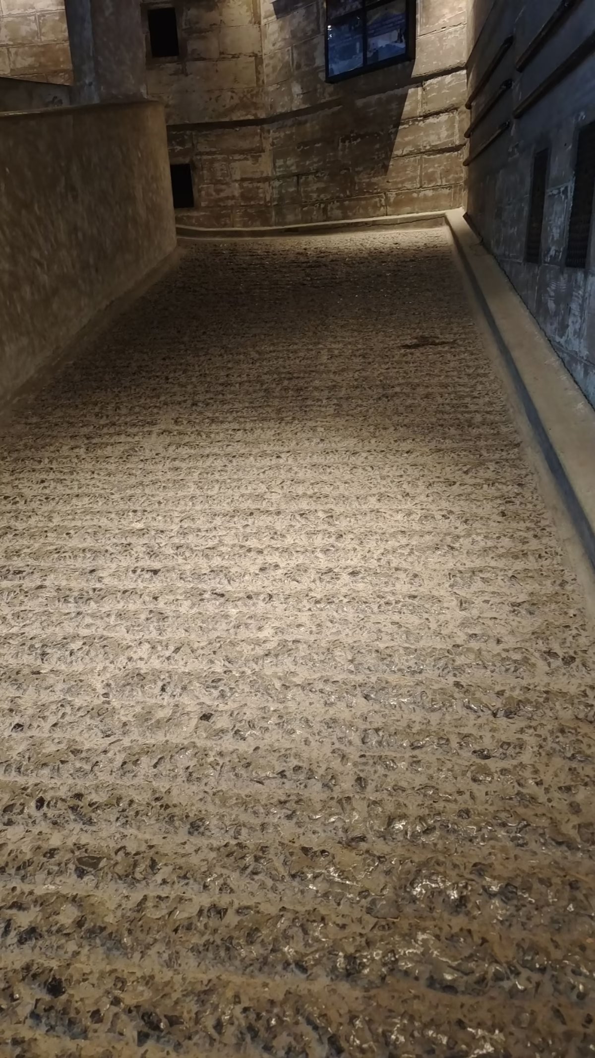 上海研学计划三天两夜,上海研学两日游