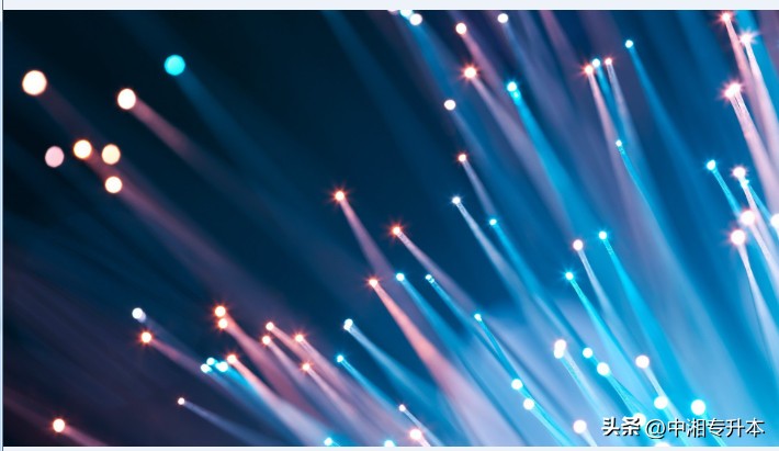 专升本十大热门专业分别是什么,昆明冶金专升本的专业