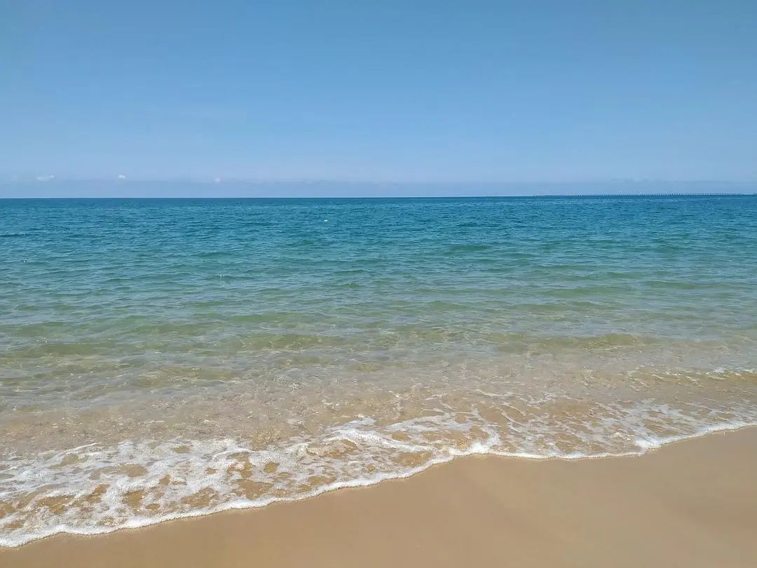 我是旅居三亚的姑娘，最终仓惶逃回深圳了