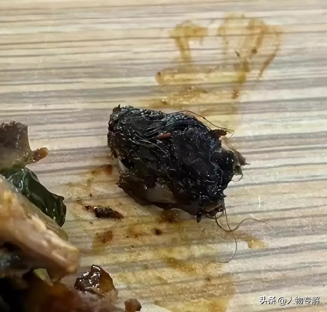 老鼠吃老鼠好不好,吃老鼠新闻