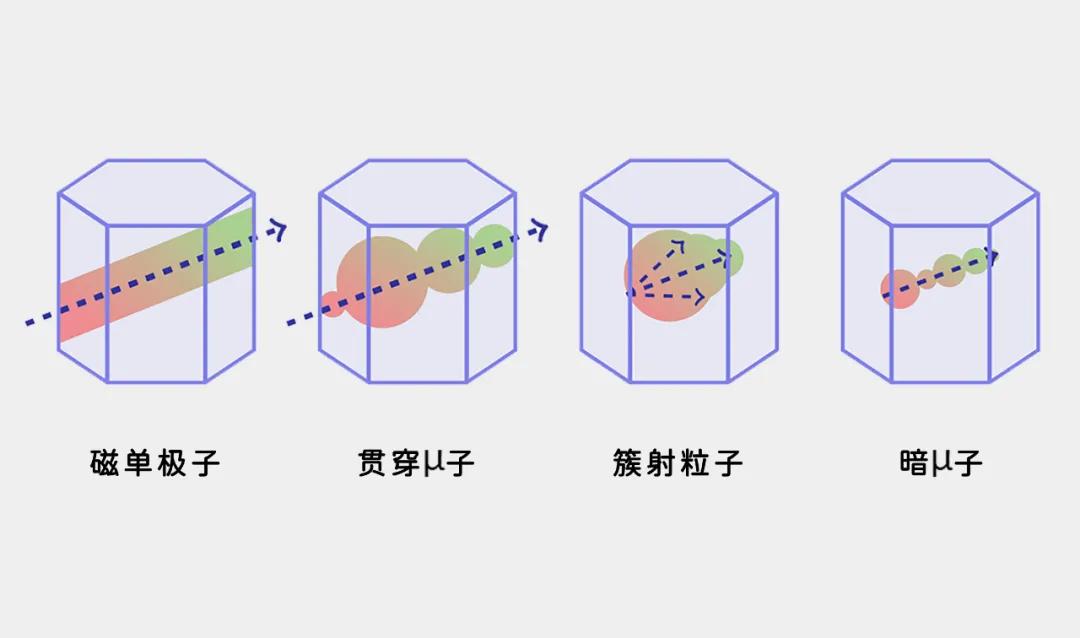 磁单极粒子被发现,磁单极子存在之谜论文