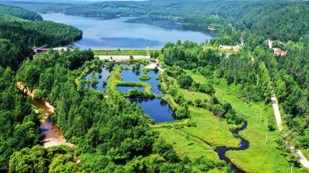 湿地游玩,湿地可以开发什么旅游项目