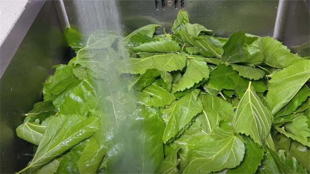 养肝明目不输蒲公英的食物,养肝吃蒲公英