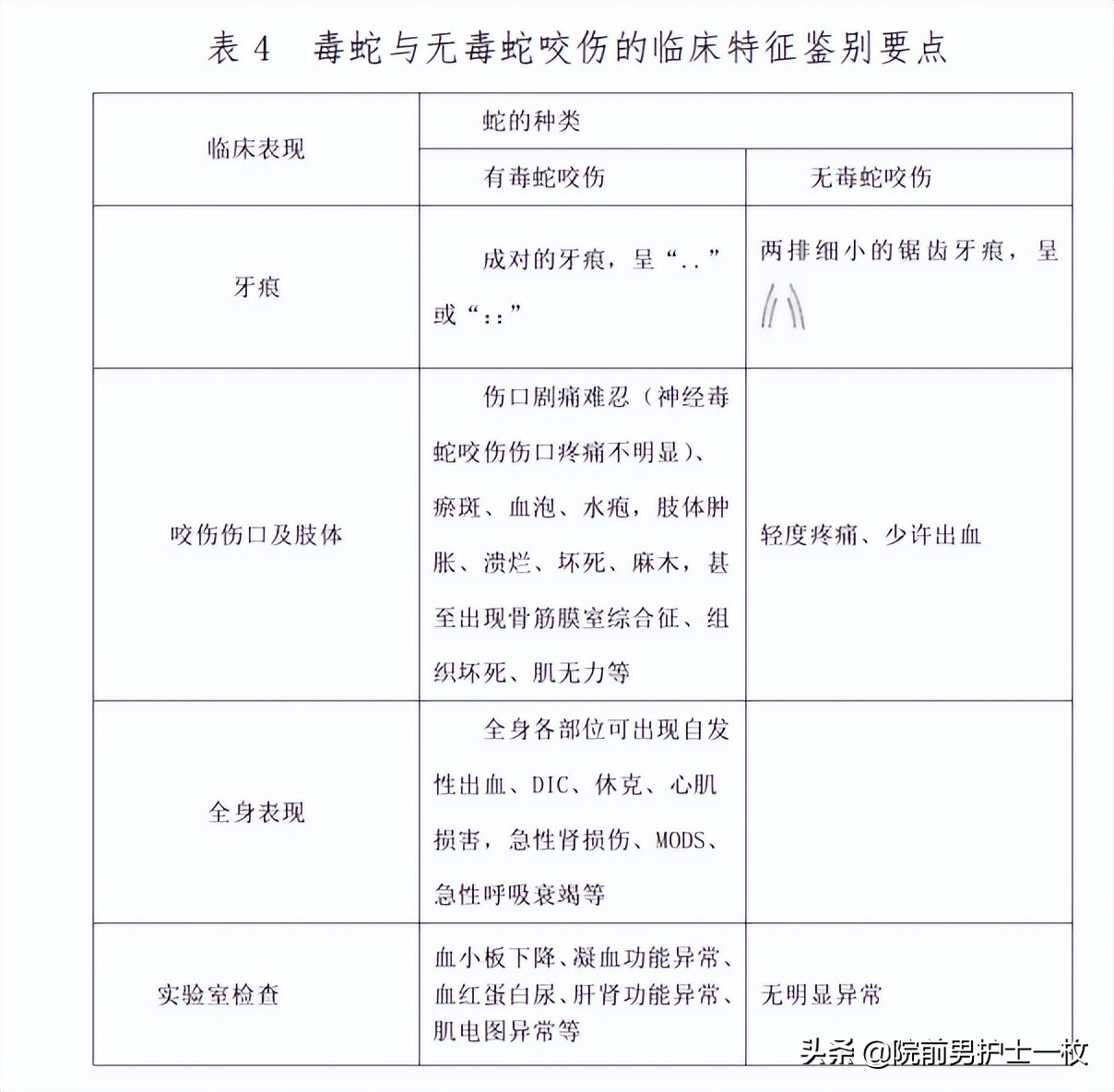 蛇咬伤急救常识大全,被蛇咬伤的处置流程及注意事项