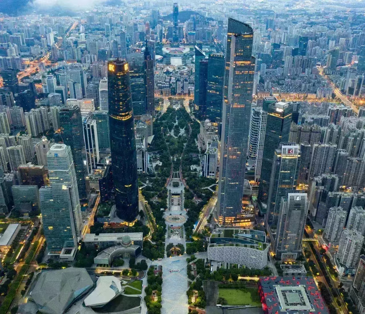 一亩地的茶树一年能收入多少钱,种一亩茶树一年的收入多少钱