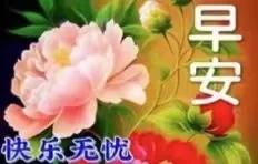 早安图片带字早安祝福语大全,2018早安语录带字图片