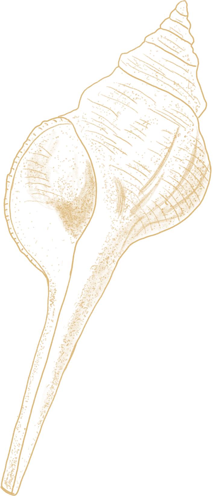 水沙涟·海鲜啤酒季丨夏日呈现青岛风情十人海鲜套餐