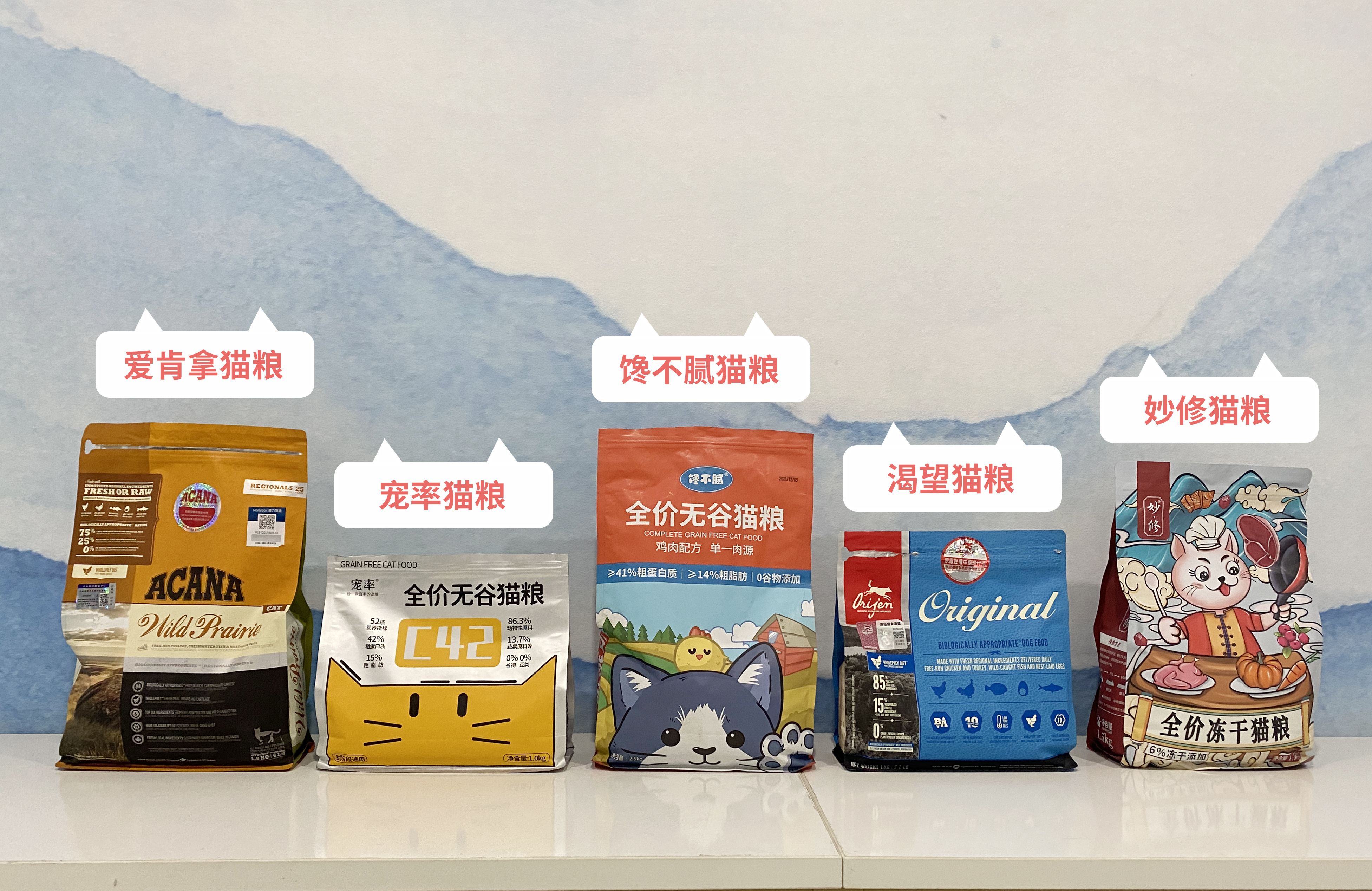 英短矮脚猫优缺点,米努特矮脚猫优缺点