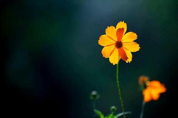 男人撩你和爱你，连发微信的方式都不一样