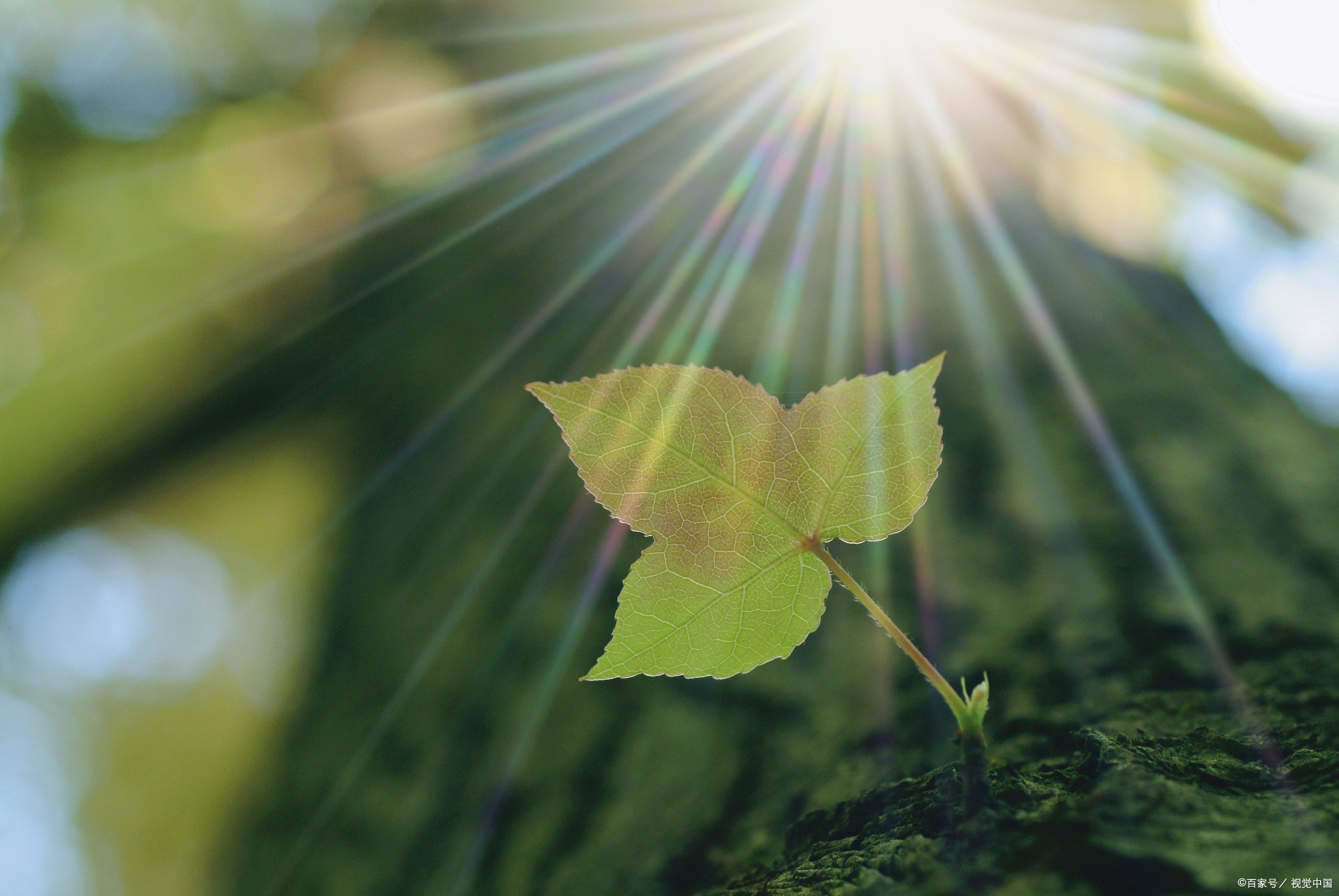 骂了老师后向老师道歉,学生辱骂老师老师处理方法