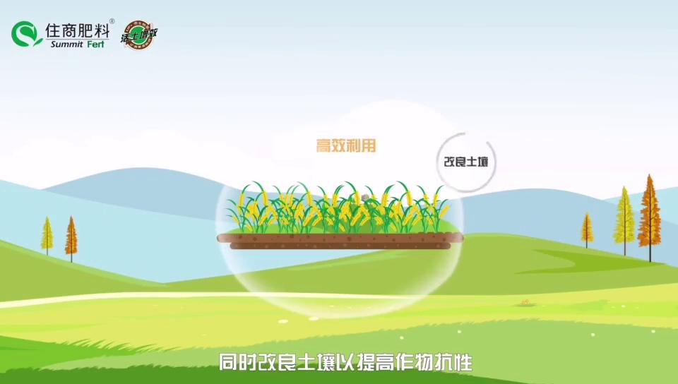 住商肥料所含成分,住商肥料助力精品农业